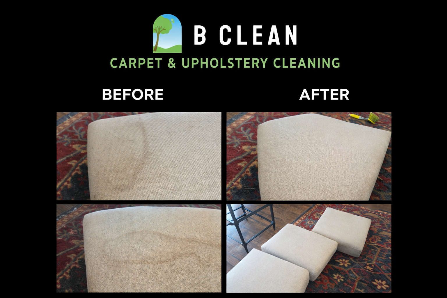 Professional Carpet Cleaning